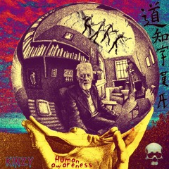 KINZY - Human Awareness