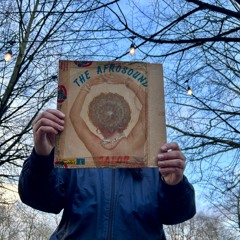 Midnight Voodoo w/ Adam BKR @ Kiosk Radio 19.12.2024