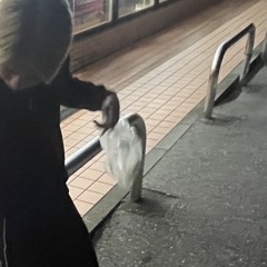 Fly again
