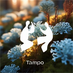 Vayunanda 002 - Tampo
