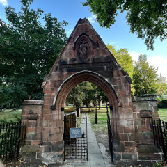 basics (prod. martyr)