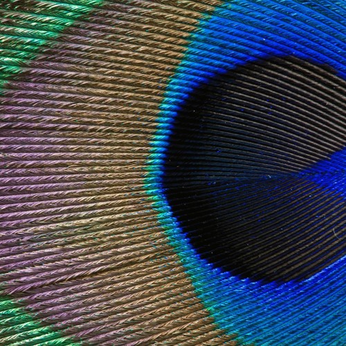 "In Your Eyes", by Peter Gabriel, arr. Evan VanDoren