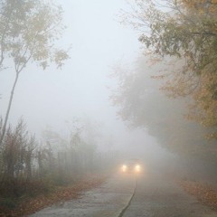 Into The Mist (prod. Immortal)