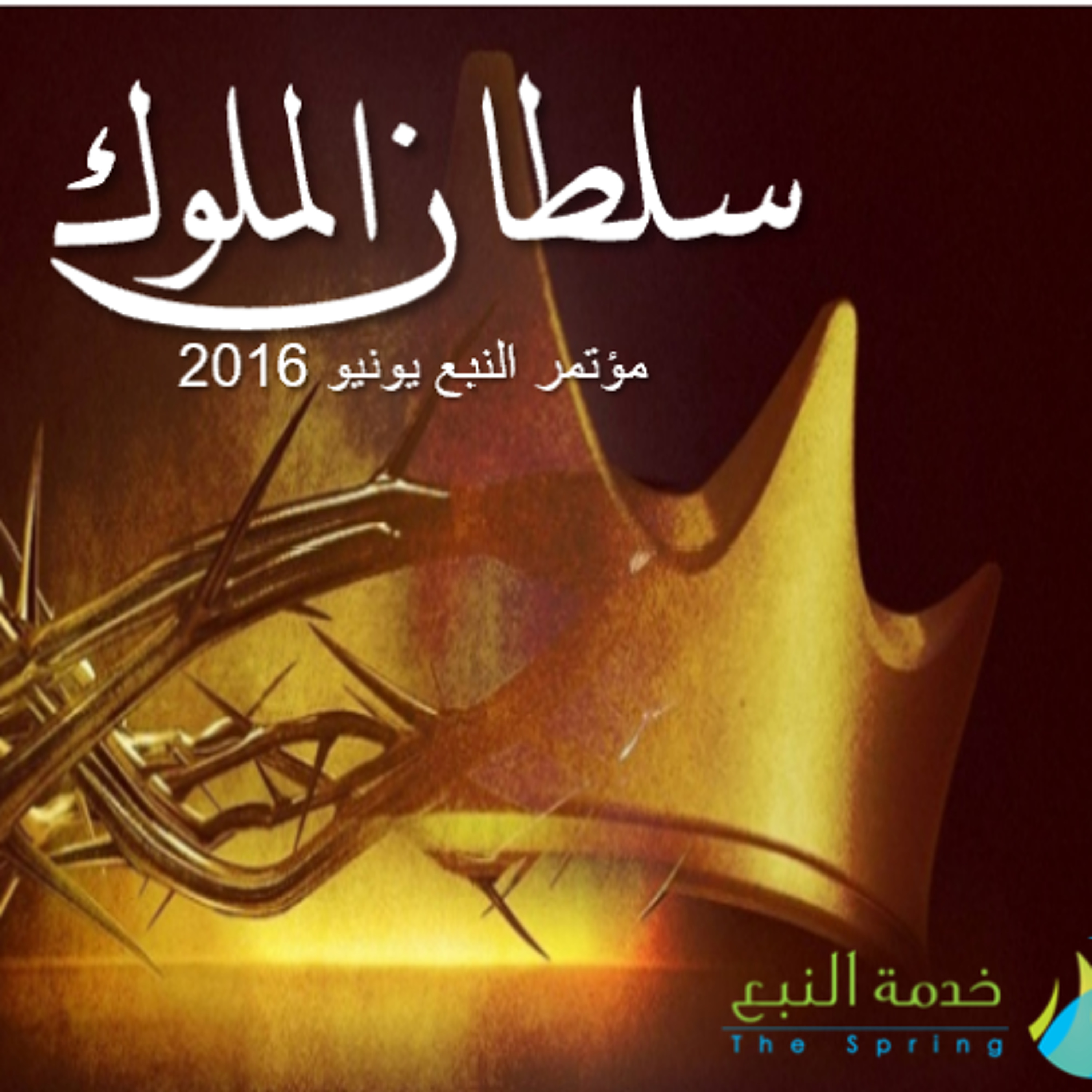 يوسف فارس - مؤتمر النبع - يونيو 2016