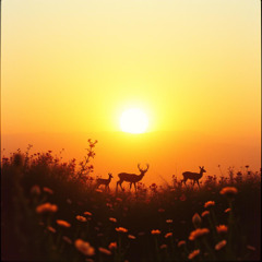 Love Song to Earth