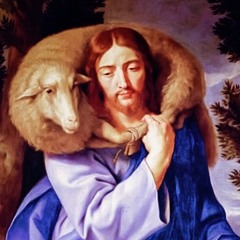 The Shepherd, The Sheep, and The Sheepfold (Fourth Sunday of Easter)