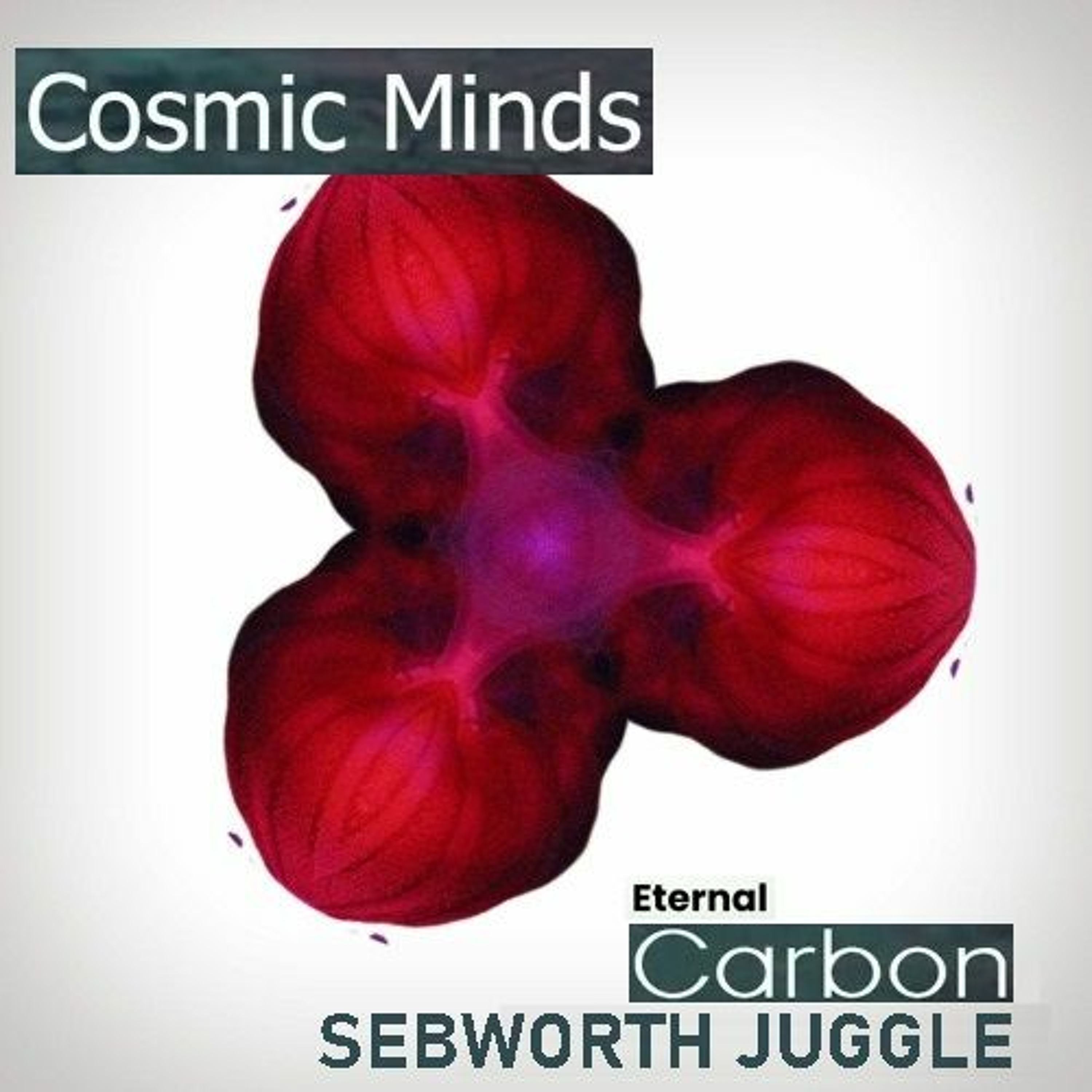 Cosmic Minds - Eternal Carbon (Sebworth Juggle) episode artwork
