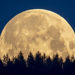 Ecstatic Dance - Fullmoon on Samhain