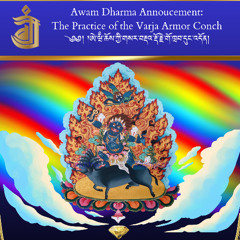 Vajra Armor Practice Recitation by Rinpoche