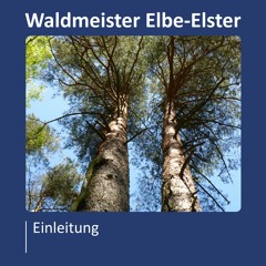 Waldmeister Elbe Elster - Einleitung