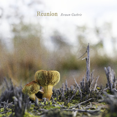 Reunion