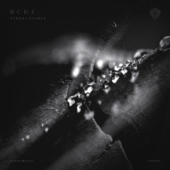 BCDJ - VIBES / TRIBES [SYH012] (Previews)