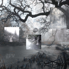 𝖂𝖄𝕯 (prod by saerunn)