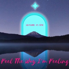 Feel The Way I'm Feeling (ft. STK)