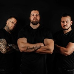 Tauski - Sinä Vain (Hardstyle Mafia Last Show Edit)