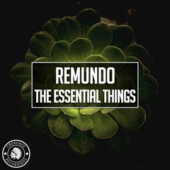 Remundo - The Essential Things (Extented Mix)
