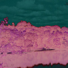 arkansas acoustic - 12:31:25, 5.41 AM