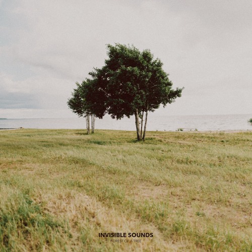 Stream Invisible Sounds Landscape Original Mix By Invisible Sounds