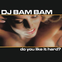 Do You Like It Hard? (Continuous DJ Mix)
