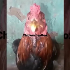 CHICKEN BEATBOX REMIX