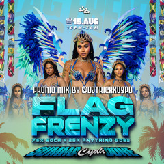 FLAG FRENZY - SUMMA CYAH DONE PROMO MIX @DJTRICKXUSPD