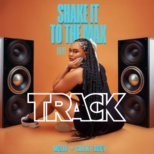 MOLIY, Shenseea, Skillibeng, Silent Addy - Shake It To The Max (TRACK AMAPIANO REMIX)⚡️🏴‍☠️