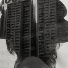 perros hellsu (lagrimas)