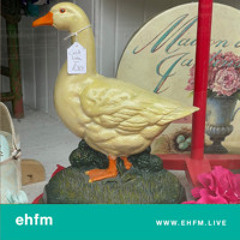 EHFM Mornings: Ravelston  - 18.04.25