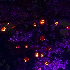 Don’t waste your time (prod. by pxlsdead)