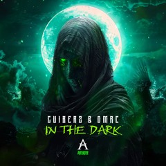 GUIBERZ & DMRC - IN THE DARK