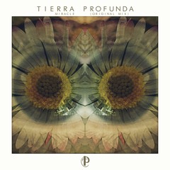 Miracle (Original Mix) Tierra Profunda