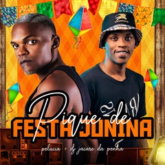 PELÚCIA - PIQUE DE FESTA JUNINA ( DJ JACARÉ DA PENHA )