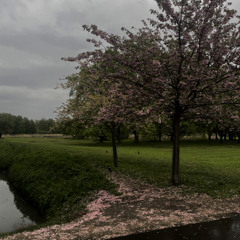 Weather