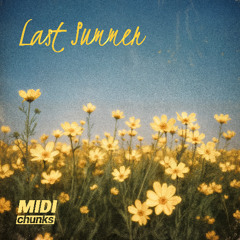 Last Summer (Lost Remix)