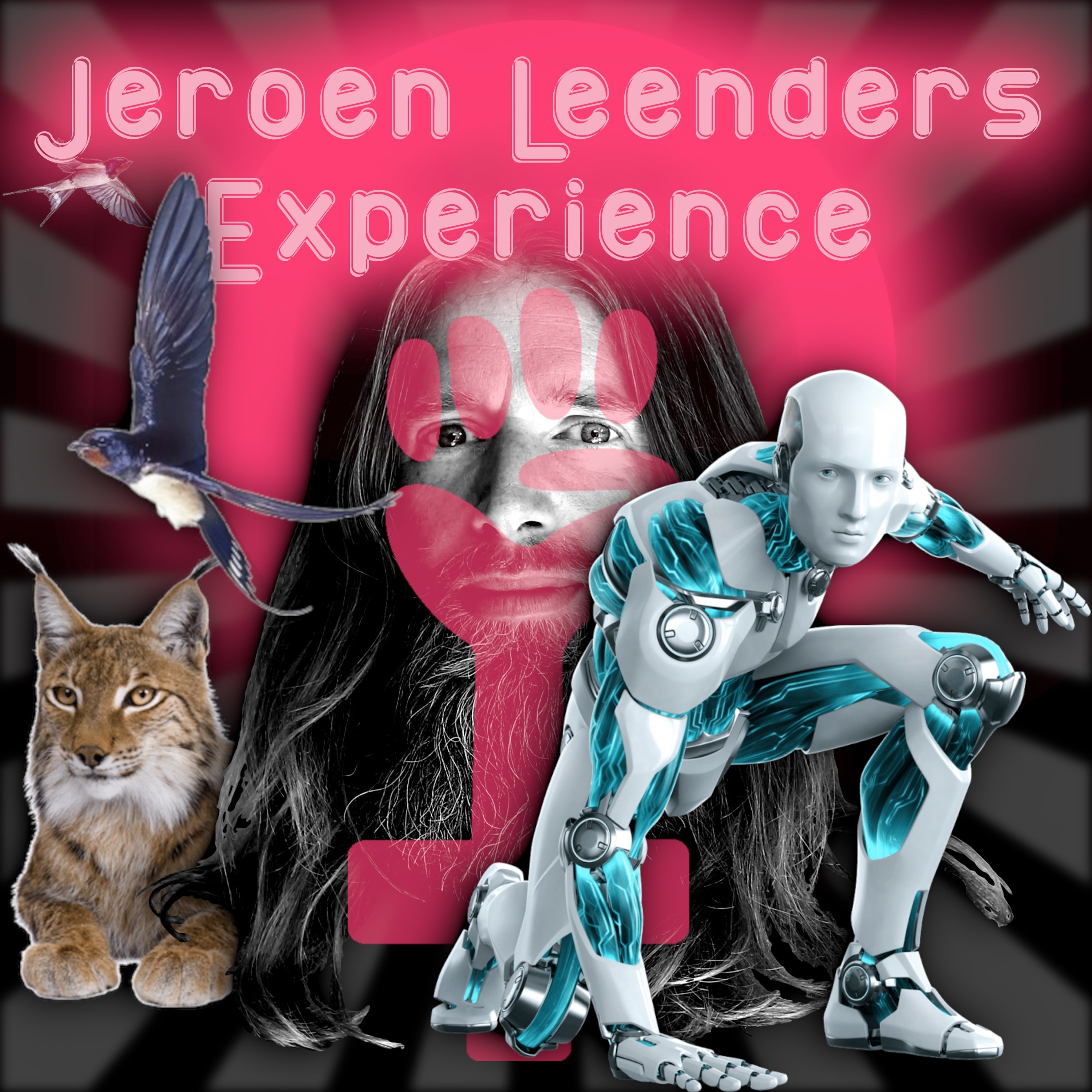 Jeroen Leenders Experience
