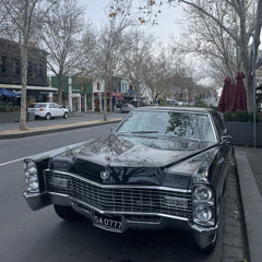 Rumble - performed by Steve Danko and the Lizards