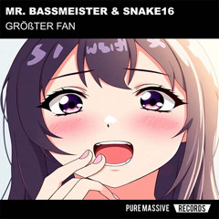 GRÖßTER FAN - Mr. Bassmeister & Snake16