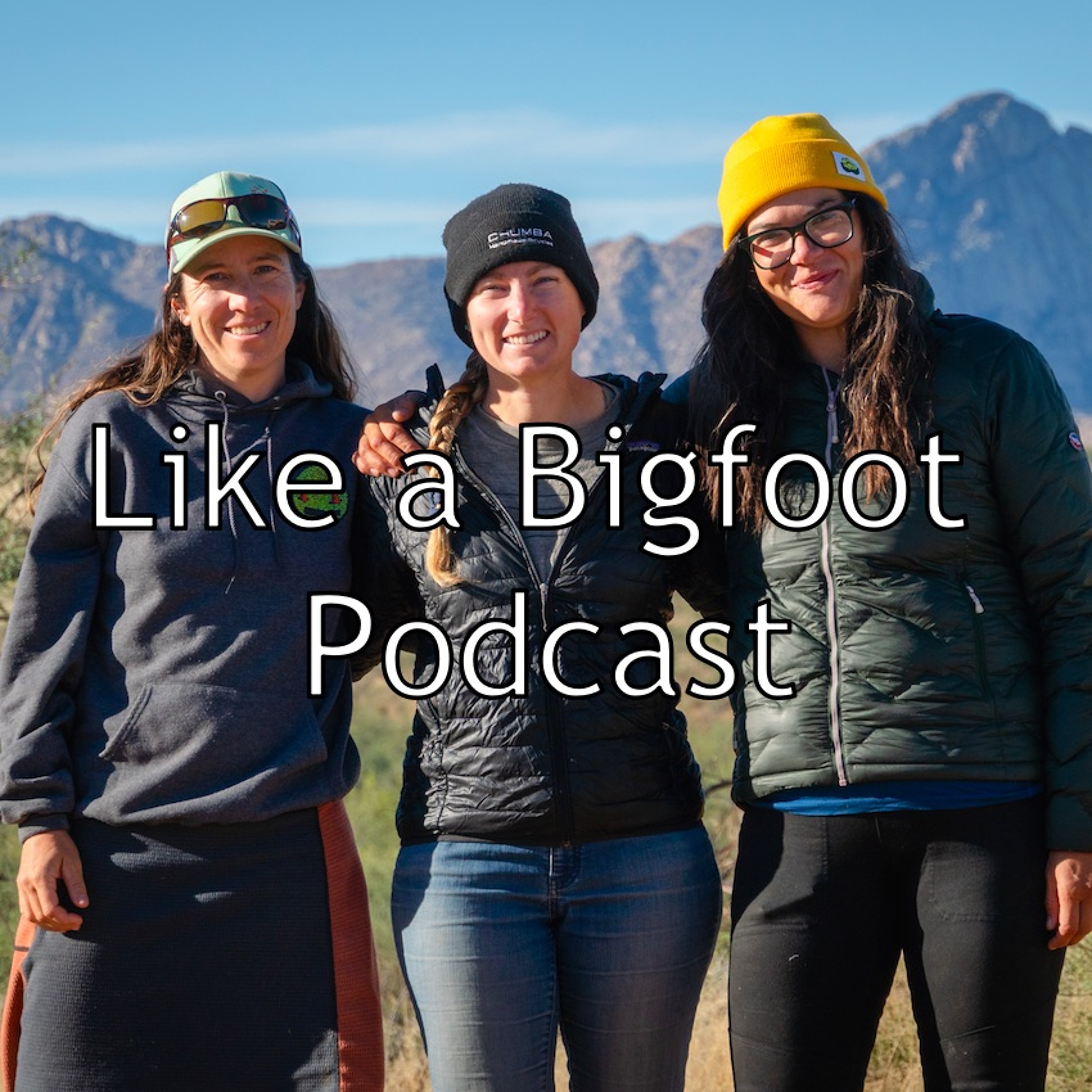 #312: Eszter Horanyi, Alexandera Houchin, & Katie Strempke -- "The Town Bicycle", Women in Cycling episode artwork
