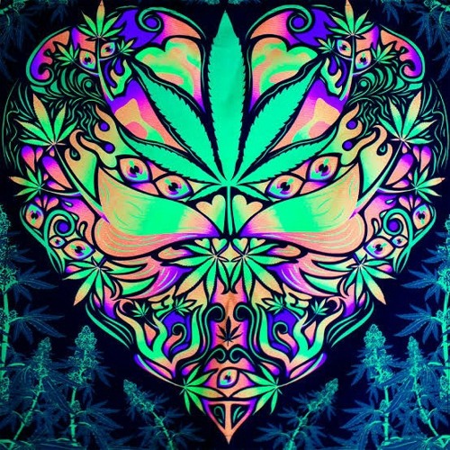 CO-WEED420{SOUND FREQUENCY THEORY}