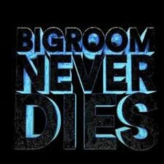 Beso - BigRoom Never Dies(Original Mix)