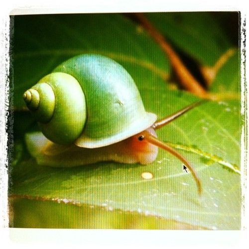 first ever jumpstyle song i guess i think its hardcore idk