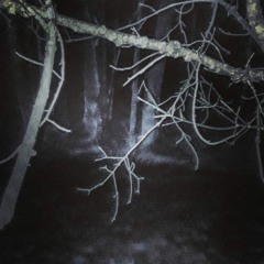 Passing Through Soulless Orchard