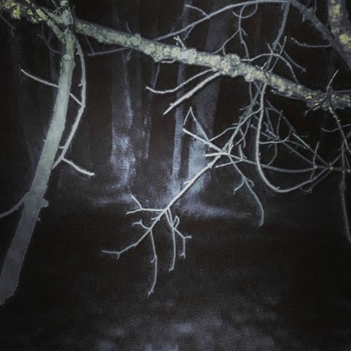 Passing Through Soulless Orchard
