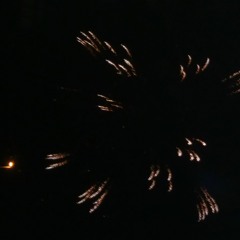 (dilute)short ver. dub