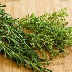 Thyme "I Hope your Hands do your Talking"