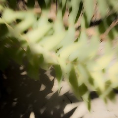 0.08. kinesis by nak