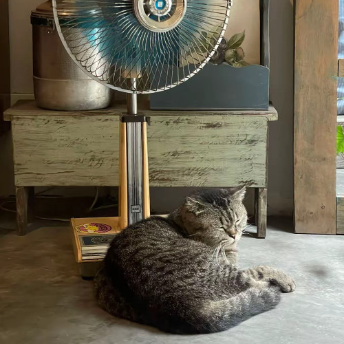 KIẾM ĐÂU BÂY GIỜ  (OST CỤC VÀNG CỦA NGOẠI)