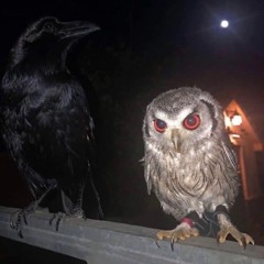 POKER FACE FT. FUTURiSTiC SWAVER [PROD CROW]