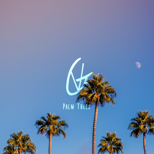 Palm Trees (Free Download)