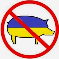 Украина (feat. МП205)